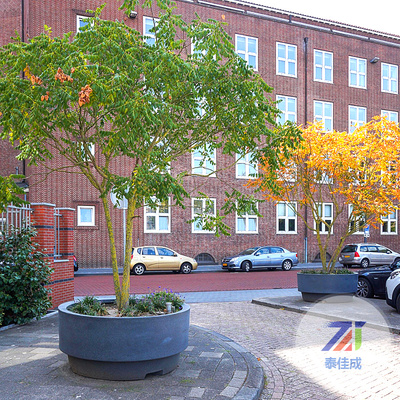 玻璃钢树池坐凳002